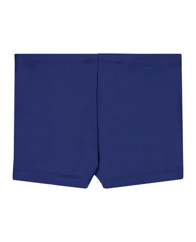 Blueberry swim boxers for boys